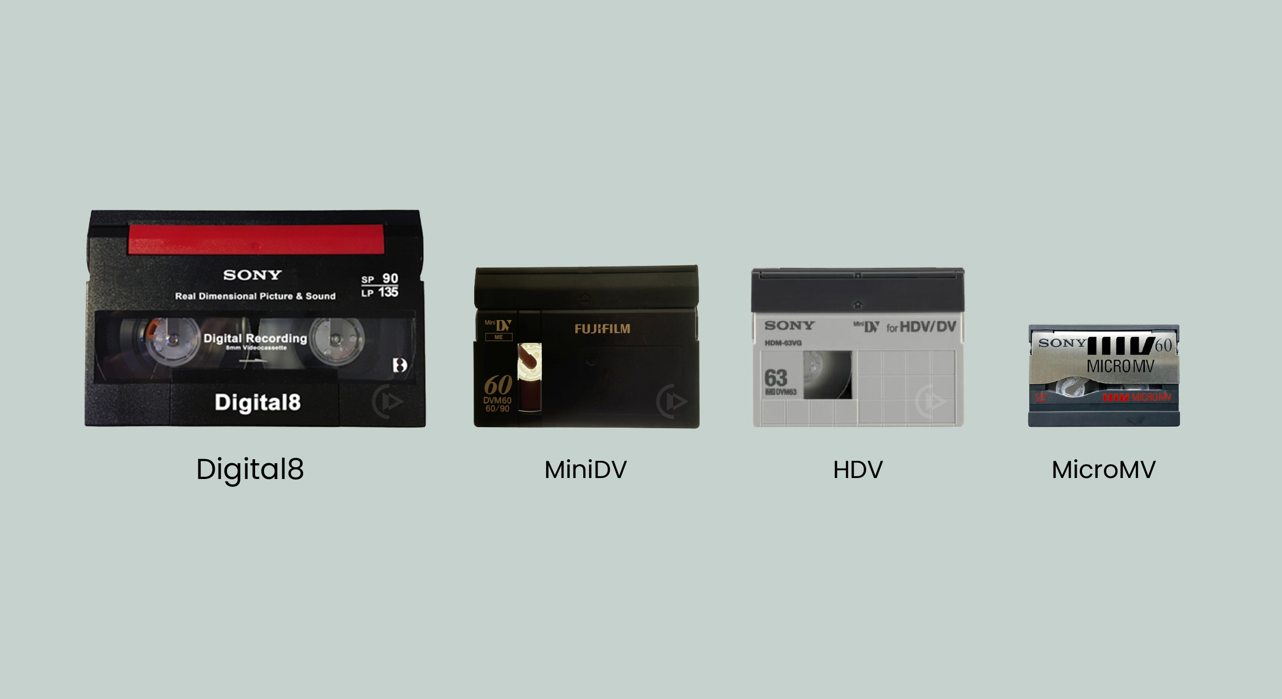 Cassettes Digital 8, Mini DV, HDV et MicroMV côte à côte, à la même échelle