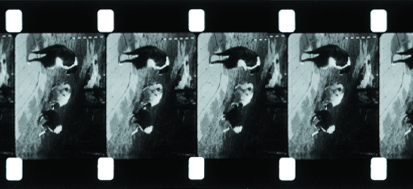 16mm 2